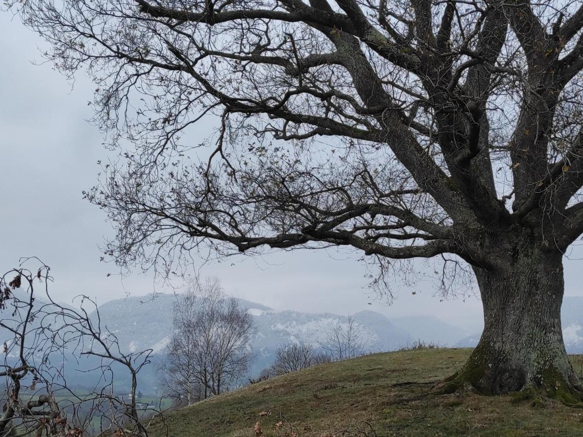 Gite Des 3 Arbres アラミ エクステリア 写真