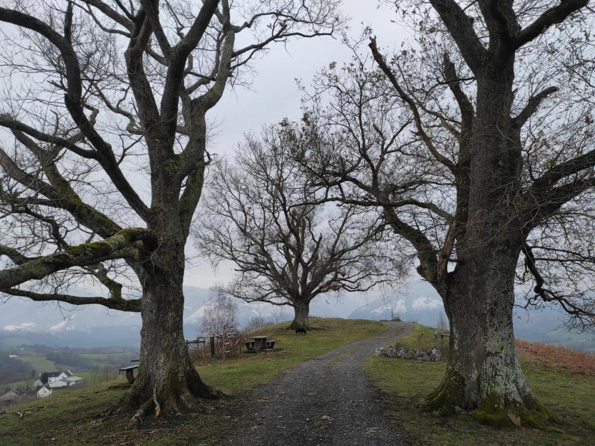 Gite Des 3 Arbres アラミ エクステリア 写真